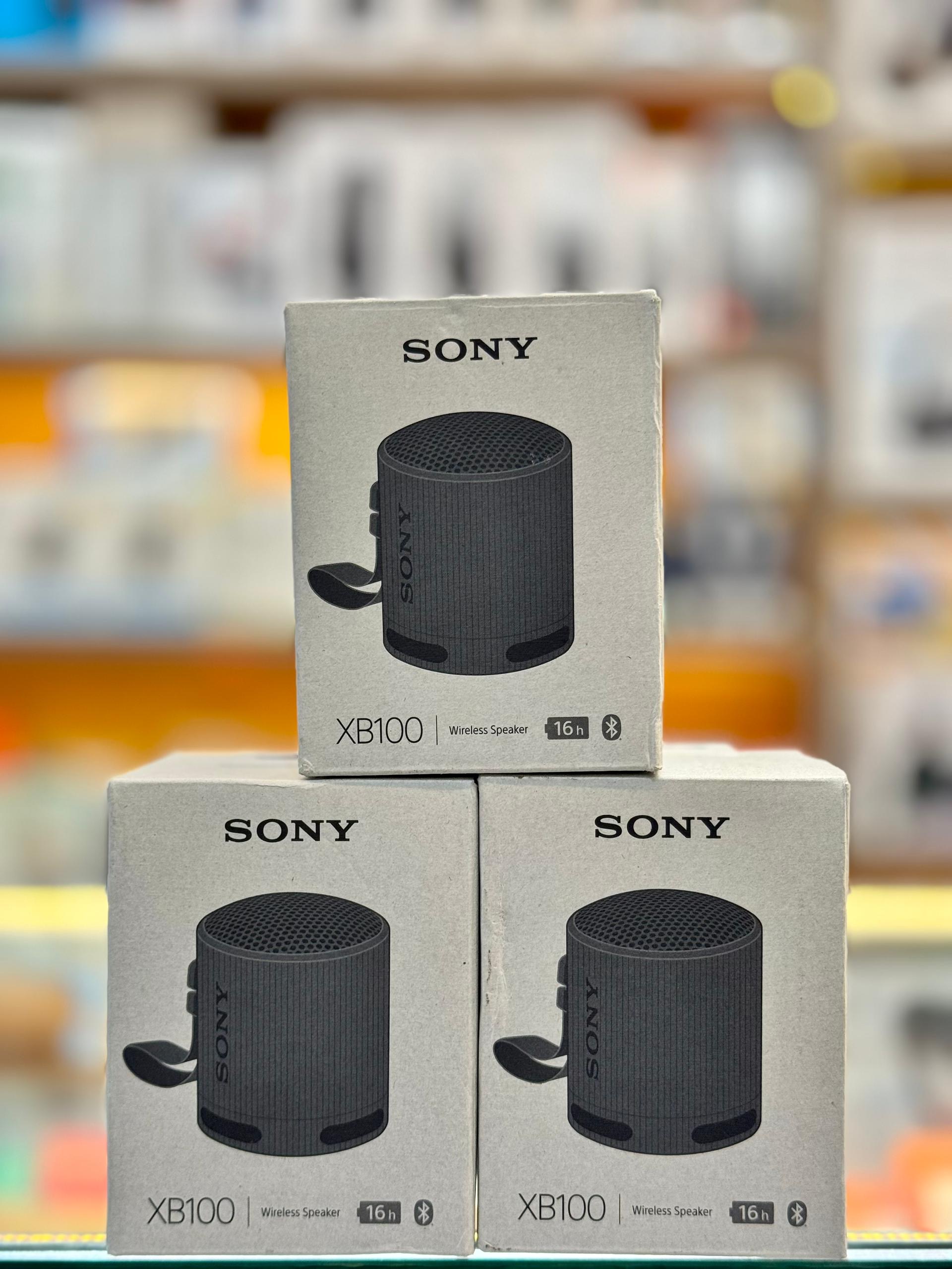 Sony SRS-XB100 Wireless Bluetooth